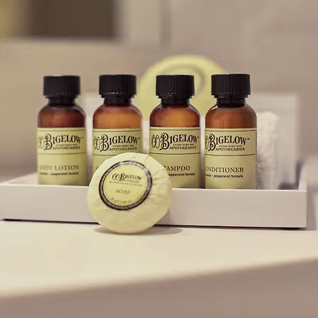 Hotel Pullman Paris Roissy Cdg Airport Le Mesnil-Amelot