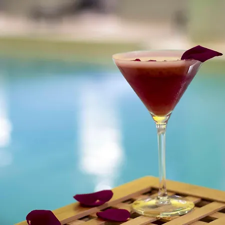 Pullman Paris Roissy Cdg Airport Hotel 4*