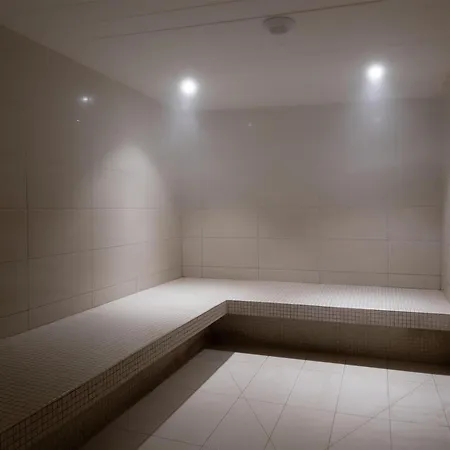 بولمان باريس مطار رواسي شارل ديغول لي ميسنيل أميلو